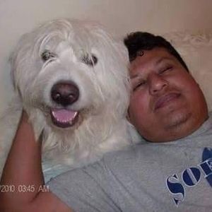 Meet your Posher, Primo